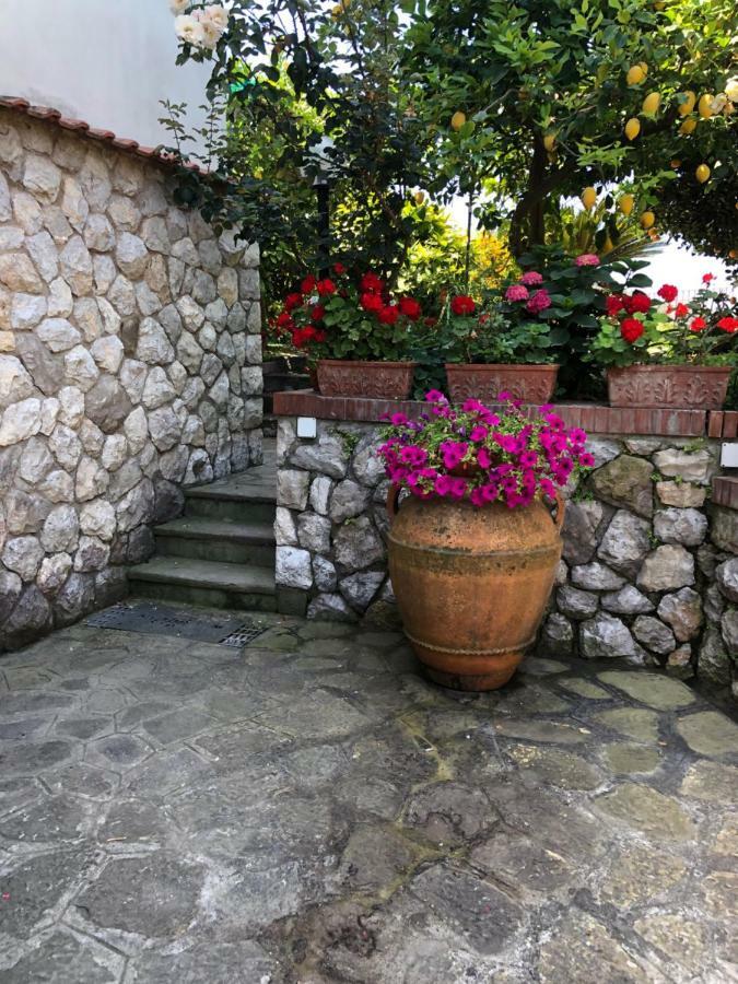 The Lookout Of Pipiano Villa Massa Lubrense Bagian luar foto